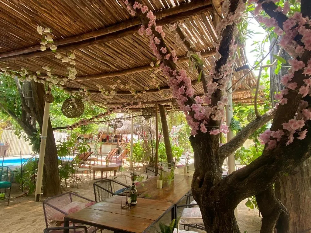 Nature Stay Playa del Carmen Mexico