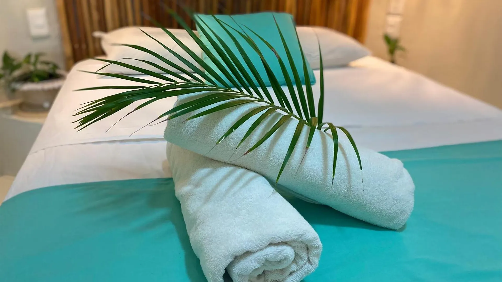 Nature Stay Playa del Carmen Inn